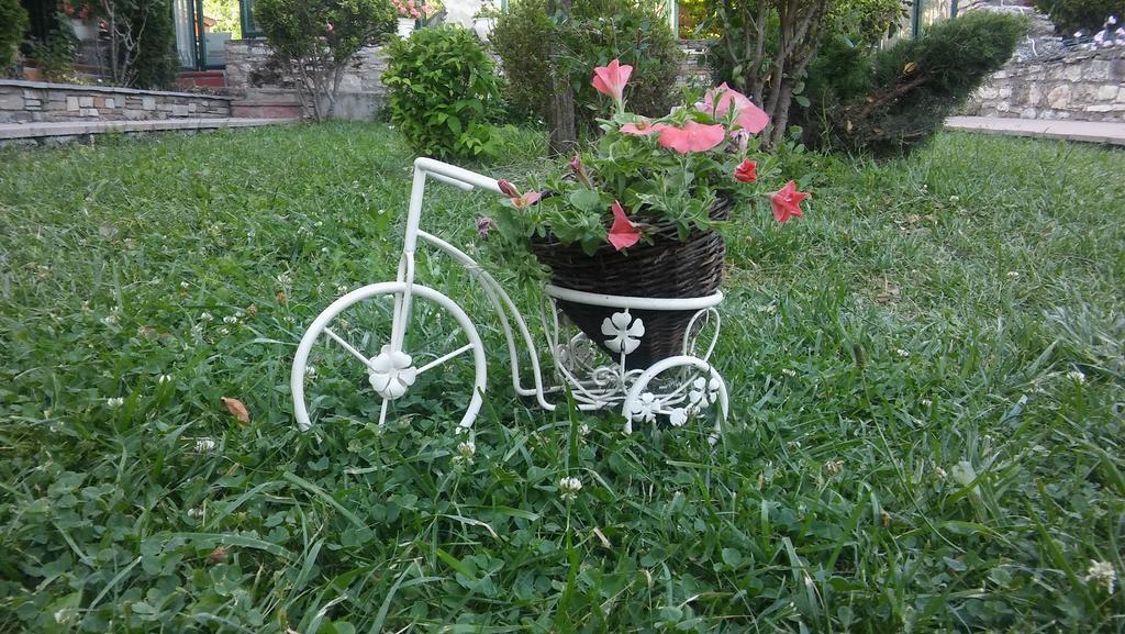 Nefeli Hotel Kozani Bagian luar foto