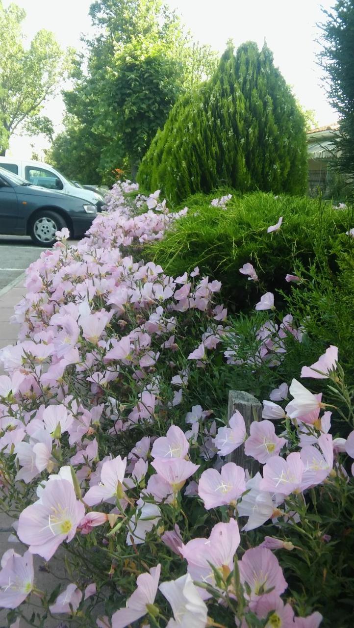 Nefeli Hotel Kozani Bagian luar foto